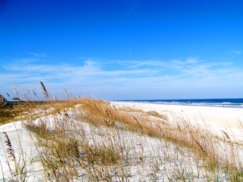 Anastasia State Park