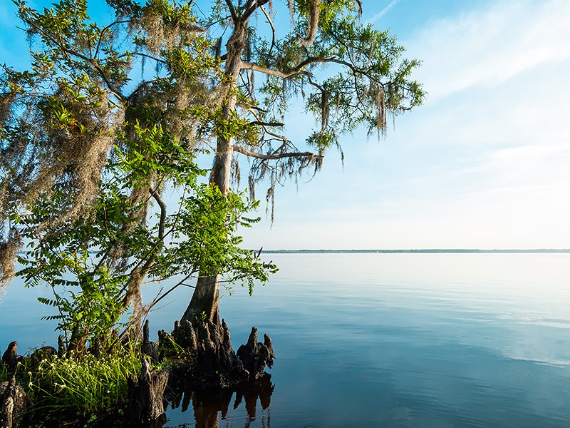 Bayard Conservation Area